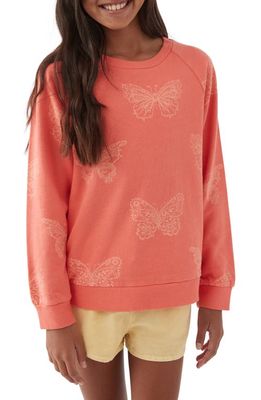 O'Neill Kids' Lillia Butterfly Cotton Graphic Sweatshirt in Porcelain Rose
