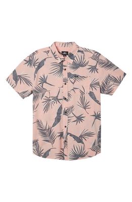 O'Neill Kids' Sambisa Tropical Short Sleeve Button-Up Shirt in Light Coral