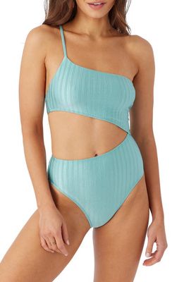 O'Neill Mizi Agadir Metallic Rib One-Shoulder One-Piece Swimsuit in Canton at Nordstrom, Size Large