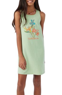 O'Neill Talia Cotton Blend Graphic T-Shirt Dress in Oasis
