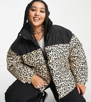 Only Curve padded jacket in leopard & black-Multi