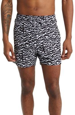 Open Edit Recycled Volley Swim Trunks in Black Candy Check