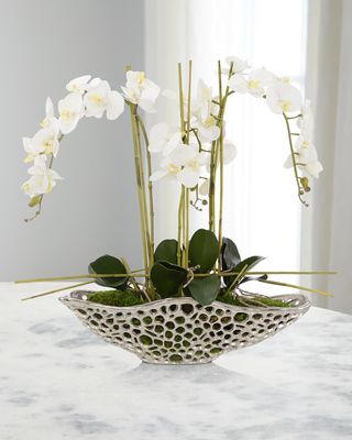 Orchid Display Floral Arrangement