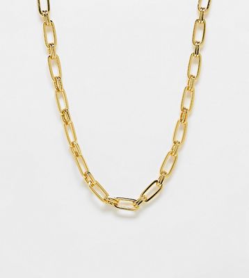 Orelia 18K gold plated 16 inch oval link chain necklace