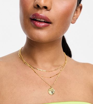 Orelia gold plated multirow coin necklace