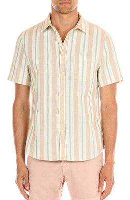 Original Paperbacks Perth Classic Fit Stripe Short Sleeve Cotton Button-Up Shirt in Sage Taupe 