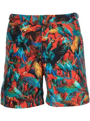 Orlebar Brown parrot print swim shorts - Multicolour