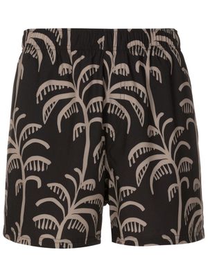 Osklen Coconut Tree swim shorts - Brown