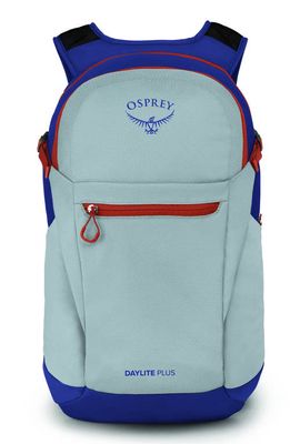Osprey Daylite Plus Backpack in Silver Lining/Blueberry