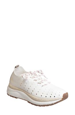 OTBT Alstead Perforated Sneaker in Chamois 