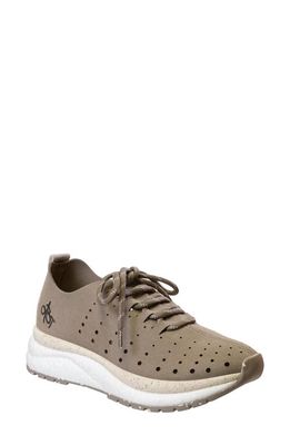 OTBT Alstead Perforated Sneaker in Greige 