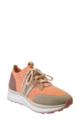 OTBT Speed Wedge Sneaker in Rosette