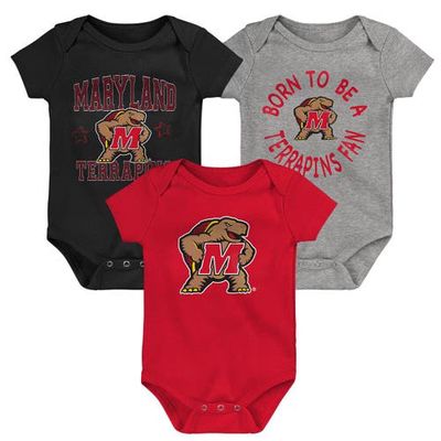Outerstuff Newborn & Infant Red/Black/Heather Gray Maryland Terrapins 3-Pack Born To Be Bodysuit Set