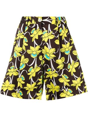P.A.R.O.S.H. floral-print high-waist shorts - Brown