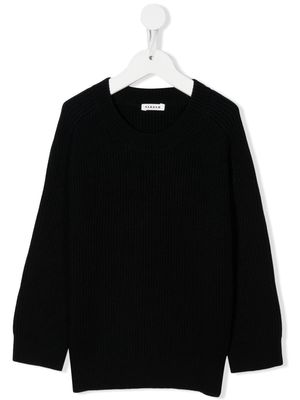 P.A.R.O.S.H. Laura ribbed-knit jumper - Black