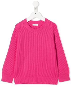P.A.R.O.S.H. Laura ribbed-knit jumper - Pink