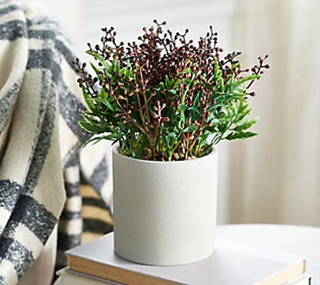 Pacific Thyme Artificial Faux Plant in Ceramic Pot