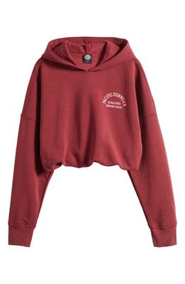 PacSun Bubble Graphic Crop Hoodie in Windsor Wine
