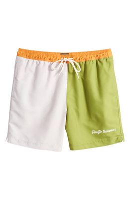 PacSun Colorblock Swim Trunks in Purple/Green