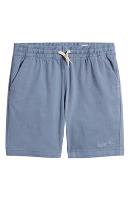 PacSun Kids' Volley Shorts in Ashley Blue