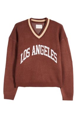 PacSun Los Angeles V-Neck Sweater in Brown
