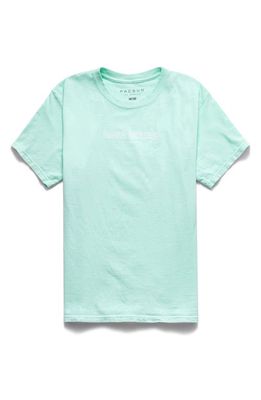 PacSun Men's Wavy Cotton Graphic Tee in Mint