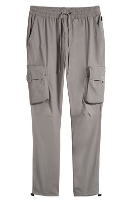 PacSun Silas Slim Fit Cargo Pants in Brushed Nickle
