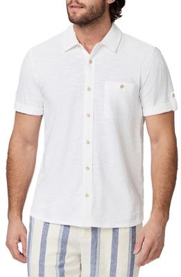 PAIGE Brayden Short Sleeve Cotton Jersey Button-Up Shirt in Fresh White