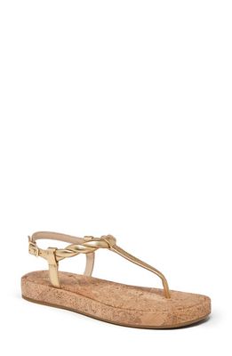 PAIGE Dawn Sandal in Gold