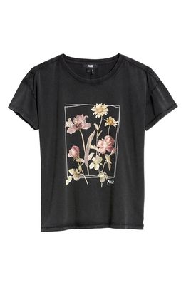 PAIGE Women's Botanical Stretch Cotton Graphic Tee in Washed Black