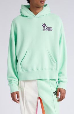 Palm Angels Classic Douby Graphic Hoodie in Light Green Purple