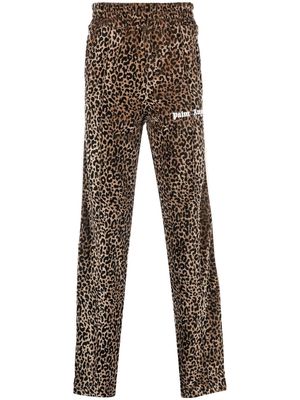 Palm Angels leopard-print track pants - Brown