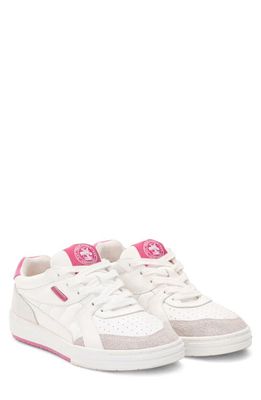 Palm Angels Palm University Low Top Sneaker in White/Fuchsia