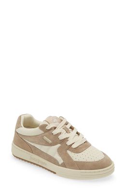 Palm Angels University Sneaker in Camel/White Suede
