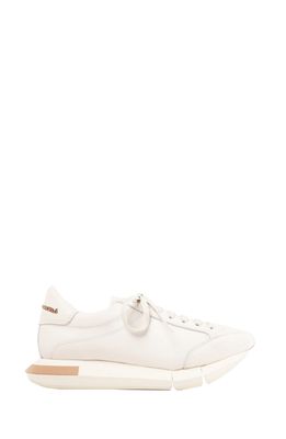 Paloma Barcelo Lisieux Sneaker in White/Gesso-Nocc.