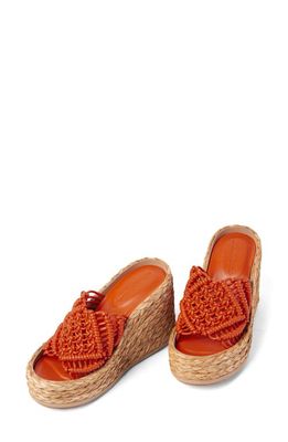 Paloma Barcelo Moira Raffia Wedge Sandal in Grenadine