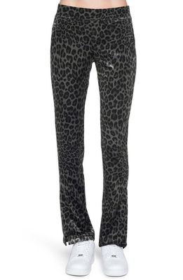 Pam & Gela Leopard Print Stretch Velour Track Pants 