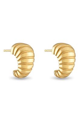 Pamela Zamore Noa Taper Earrings in Gold 