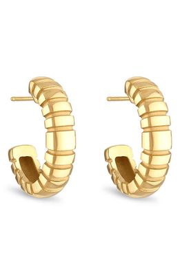 Pamela Zamore Orla Large Oval Hoop Earrings in Gold 