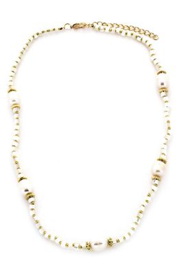 Panacea Shell & Cultured Freshwater Pearl Collar Necklace in White