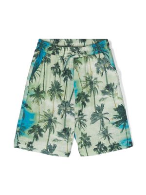 Paolo Pecora Kids palm tree-print straight-leg shorts - Green