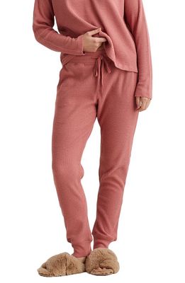 Papinelle Waffle Knit Pocket Joggers in Soft Cinnamon