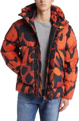 Parajumpers Cloud 700 Fill Power Ripstop Puffer Jacket in Rio Red Butterfly Print