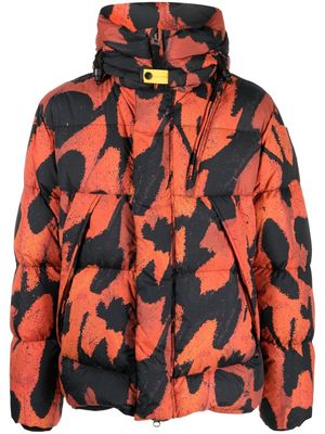 Parajumpers Cloud Pr Rio-Red-Butterfly-print padded jacket - Black