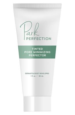 Park Perfection Tinted Pore Minimizing Perfector