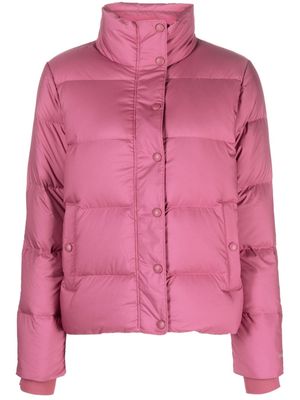 Patagonia press-stud down puffer jacket - Pink