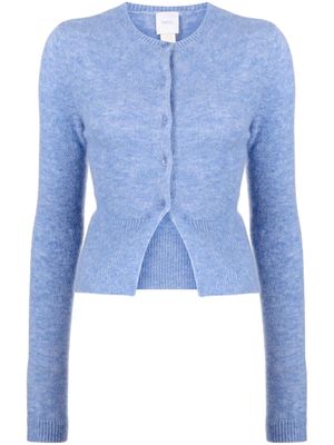 Patou button-fastening knitted cardigan - Blue