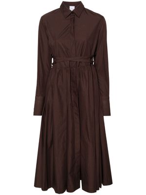 Patou spread-collar cotton shirt dress - Brown