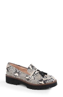 patricia green Beckham Tassel Lug Loafer in Black/white Snake