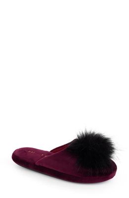 patricia green Daisy Slipper in Plum